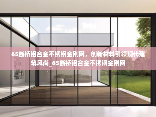 65断桥铝合金不锈钢金刚网，创新材料引领现代建筑风尚_65断桥铝合金不锈钢金刚网