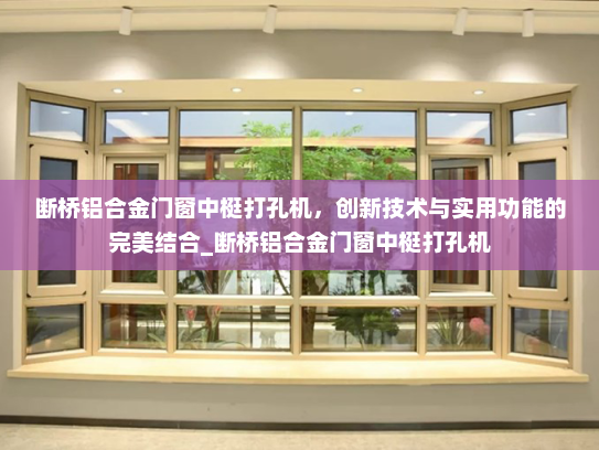 断桥铝合金门窗中梃打孔机，创新技术与实用功能的完美结合_断桥铝合金门窗中梃打孔机