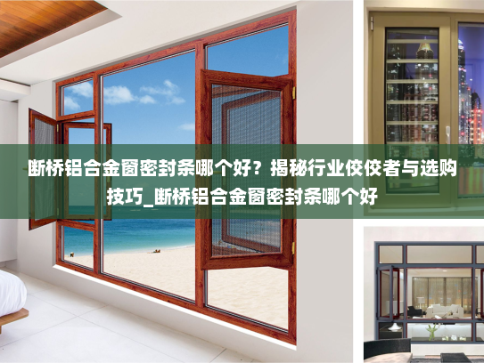 断桥铝合金窗密封条哪个好？揭秘行业佼佼者与选购技巧_断桥铝合金窗密封条哪个好