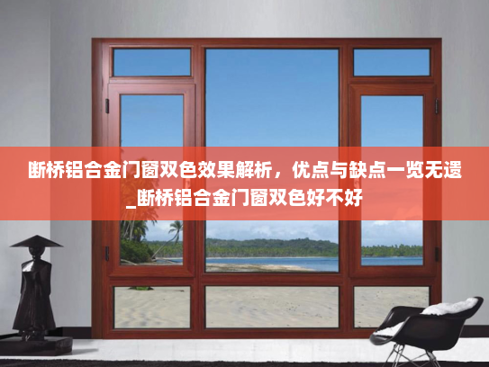 断桥铝合金门窗双色效果解析，优点与缺点一览无遗_断桥铝合金门窗双色好不好